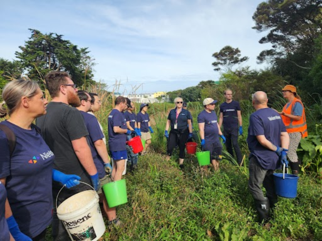 Group of volunteers holding buckets in a field